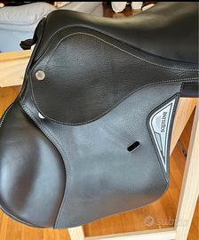 Sella equiline saddle division