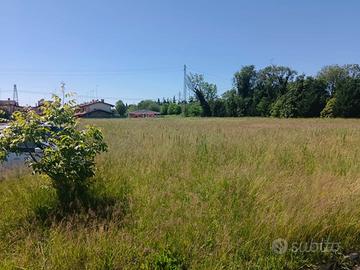 FOGLIANO Terreno per bella villa singola