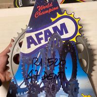 Afam 41 denti per R1 passo 520
