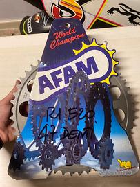 Afam 41 denti per R1 passo 520