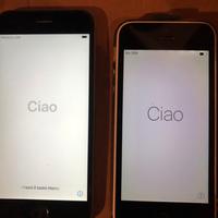 iPhone s ed iPhone 5c