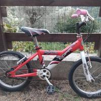 Bici Coppi City Boys