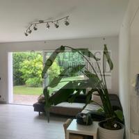 Incantevole Casa Singola con Giardino Privato a Vi