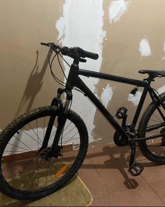 bicicletta mountain bike