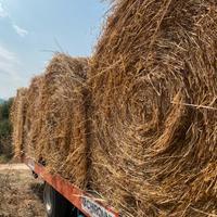 ROTOBALLE  di  FIENO