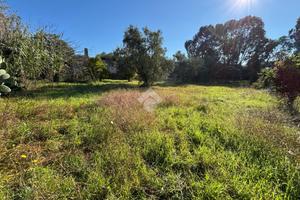 TER. RESIDENZIALE A NETTUNO