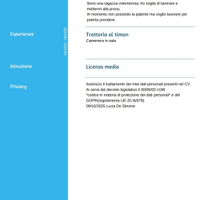 Candidatura lavoro