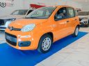 fiat-panda-1-2-pop-25-500-km-euro-6