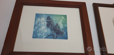 Priscilla Ganassini Cardo