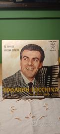 Vinile Edoardo Lucchina