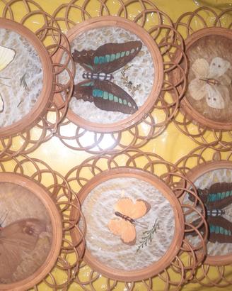 Sei sottobicchieri in legno e vetro con farfalle