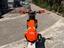 Immagine 3