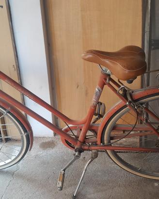 bicicletta da donna.