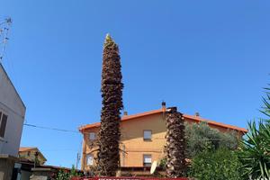 Piattaforma aerea cingolata