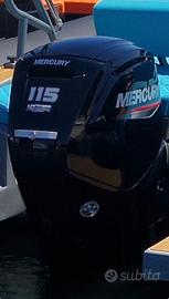 Motore mercury 115 hp