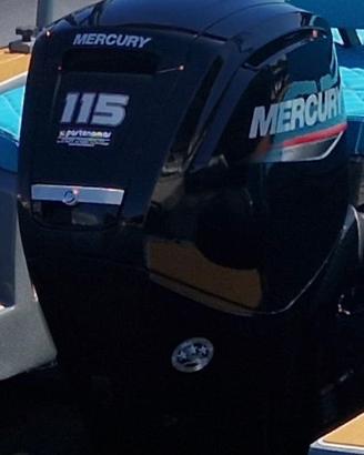 Motore mercury 115 hp