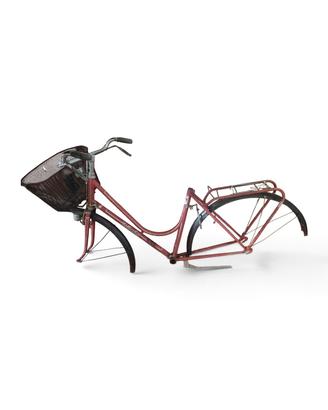 bottecchia telaio