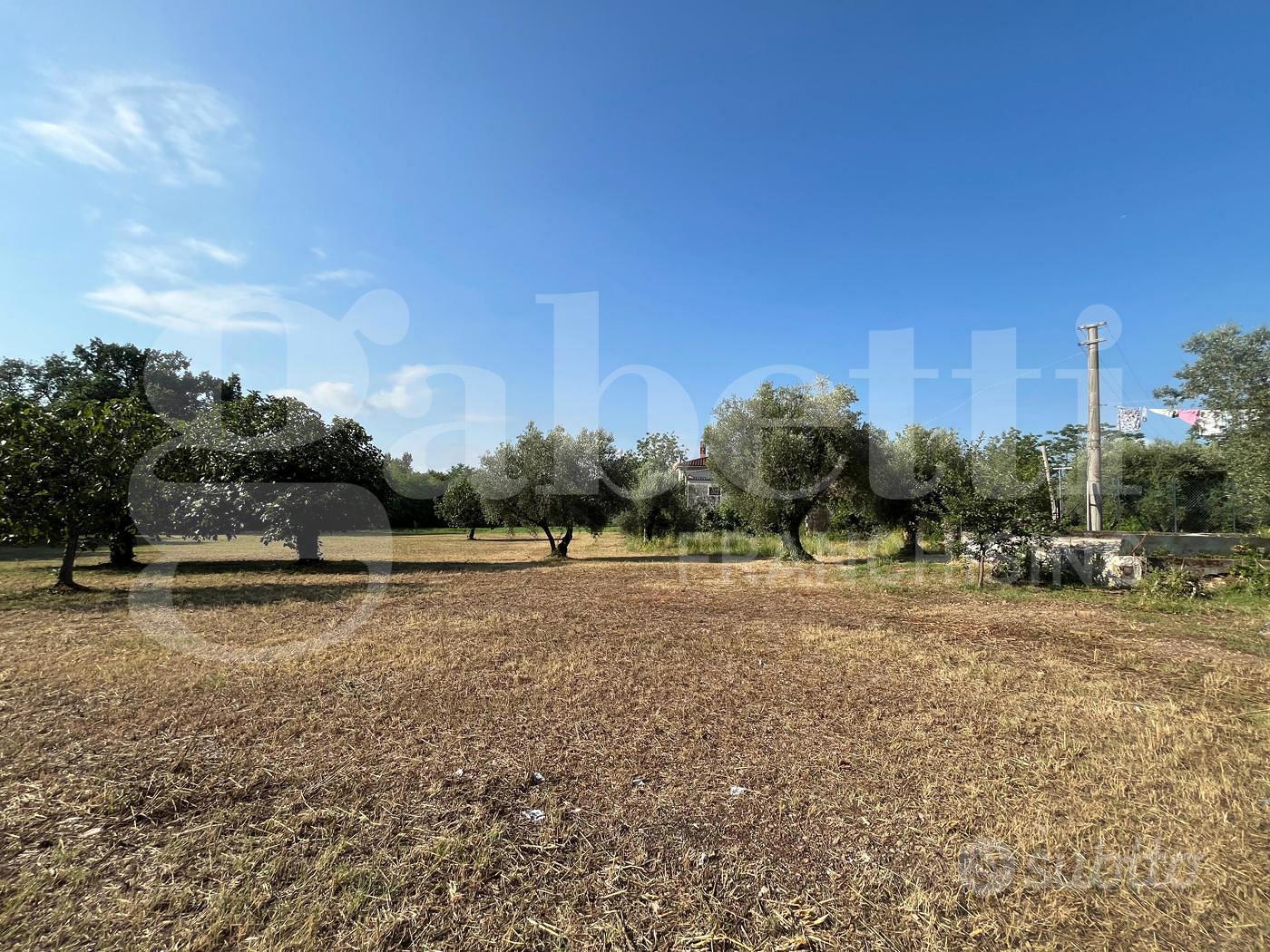 Terreno Agricolo Alife [Cod. rif 3325629VCG] - Altro
