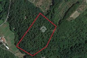 TER. AGRICOLO A PIEVE A NIEVOLE