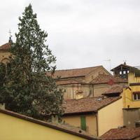 Singola per donna in appartamento Imola