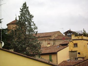 Singola per donna in appartamento Imola