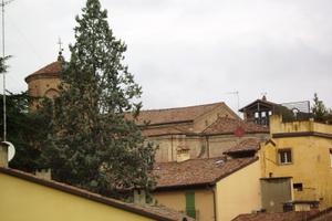 Singola per donna in appartamento Imola