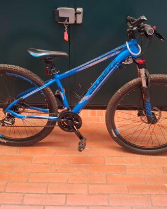 bicicletta