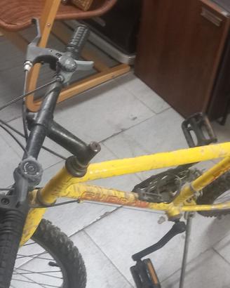bicicletta bimbi 