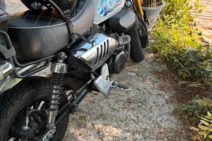 Mini moto