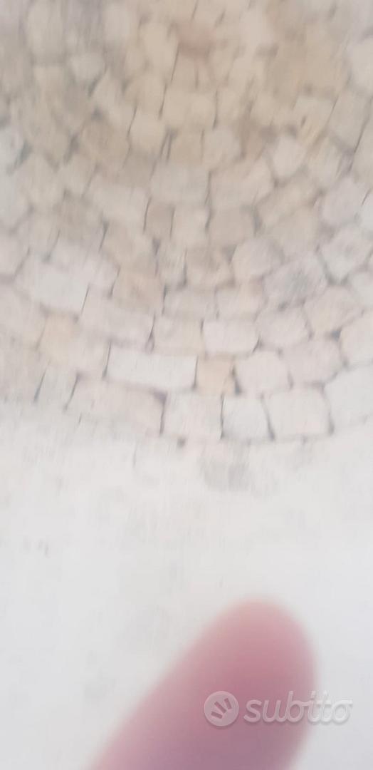 Trullo con terreno e ulivi - Vista 2