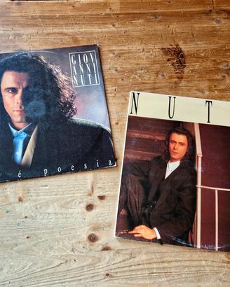 Coppia vinili vintage