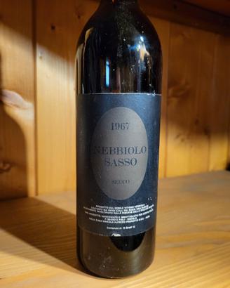 Nebbiolo Sasso 1967