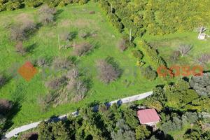 Terreno Agricolo Milazzo [#prof433VCG]