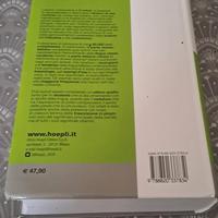 dizionario cinese italuani