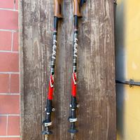 Bastoni da trekking