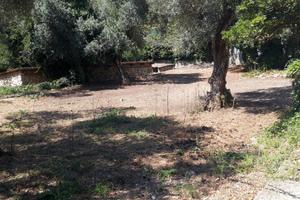 Formia Ponzanello rudere condonato edificabile