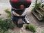 Immagine 2