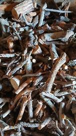 Legna di ulivo stagionata da ardere Ragusa