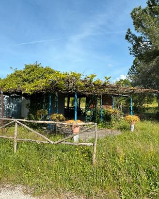 Terreno edificabile di oltre 4.000 mq