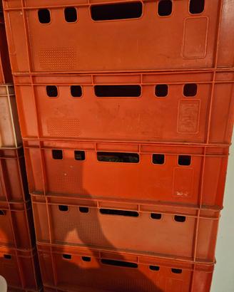 Cassete tutto fare in plastica