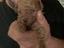 Immagine 3