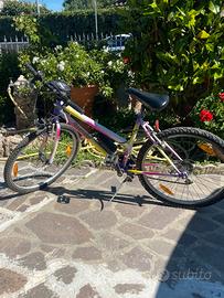 bicicletta