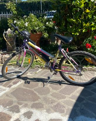 bicicletta