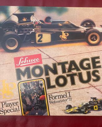 Lotus Formula 1 modellino