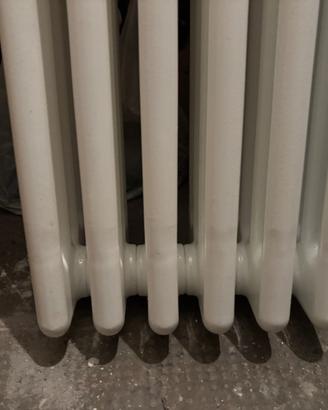 Termosifone acciaio Ercos Comby 6 elementi