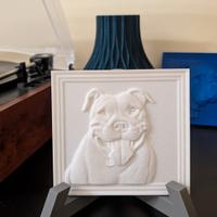 Stampa 3D quadro Cani e gatti