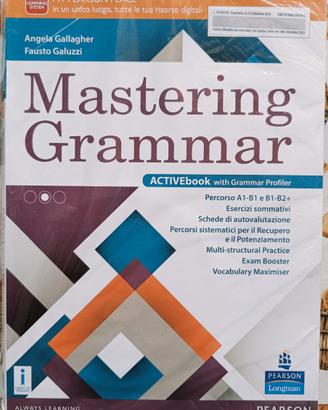 Libro scolastico Mastering Grammar