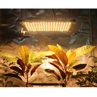 LED  GROW Coltivazione Piante Samsung LM301H