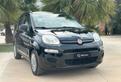 Fiat Panda 1.2 70 CV Lounge