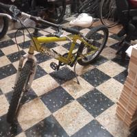 bicicletta 
